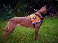 Verschiedene Kenndecken Canis für die Ausbildung von Diensthunden oder Einsatzhunden - Image 5