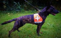Verschiedene Kenndecken Canis für die Ausbildung von Diensthunden oder Einsatzhunden