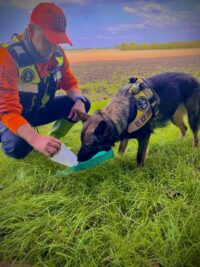 Ausbildung zum Kadaver Spürhund Team