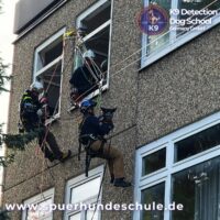 Helikopter Ausbildung mit Diensthund Modul 2 Abseilen