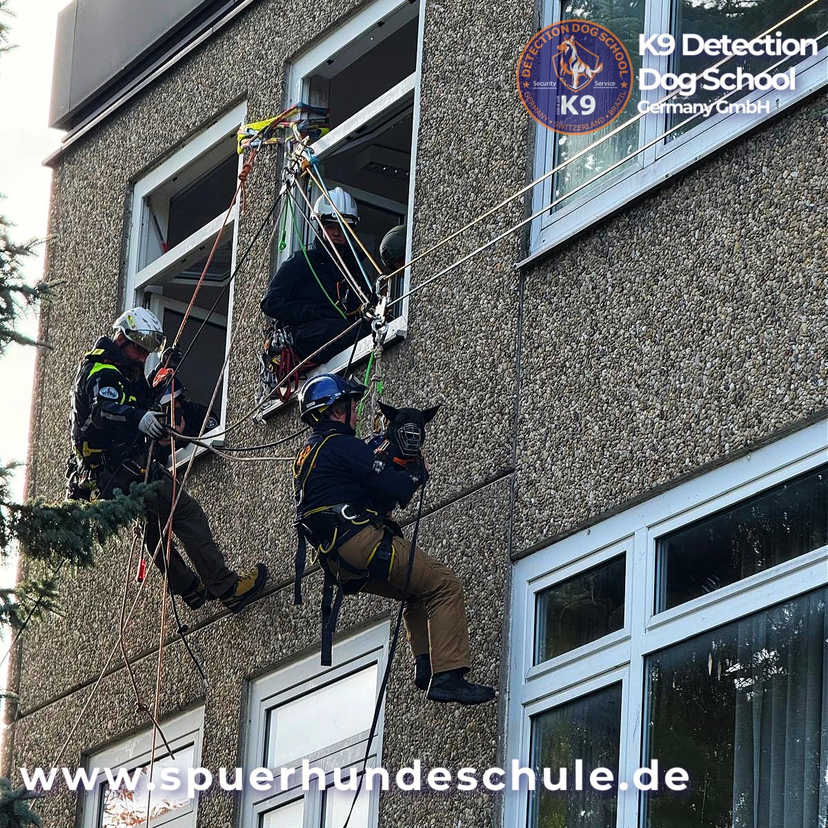 helikurs k9 abseilen