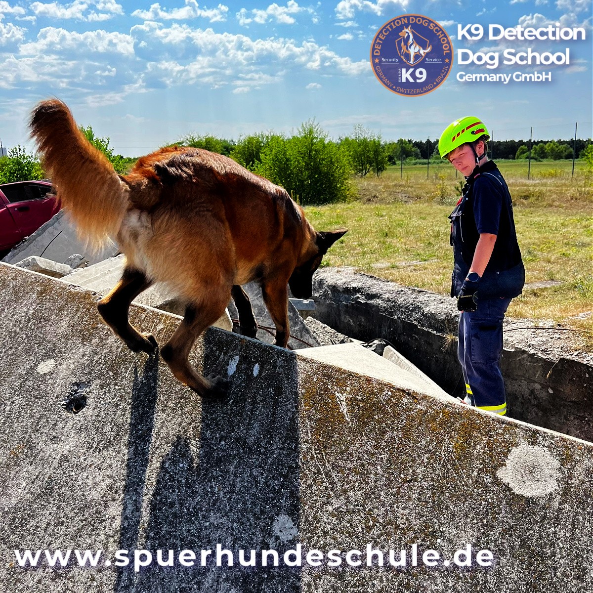 k9 trümmer rettungshund