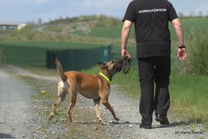Hundeführer Dog Handler K-9 Detection Dog School Germany